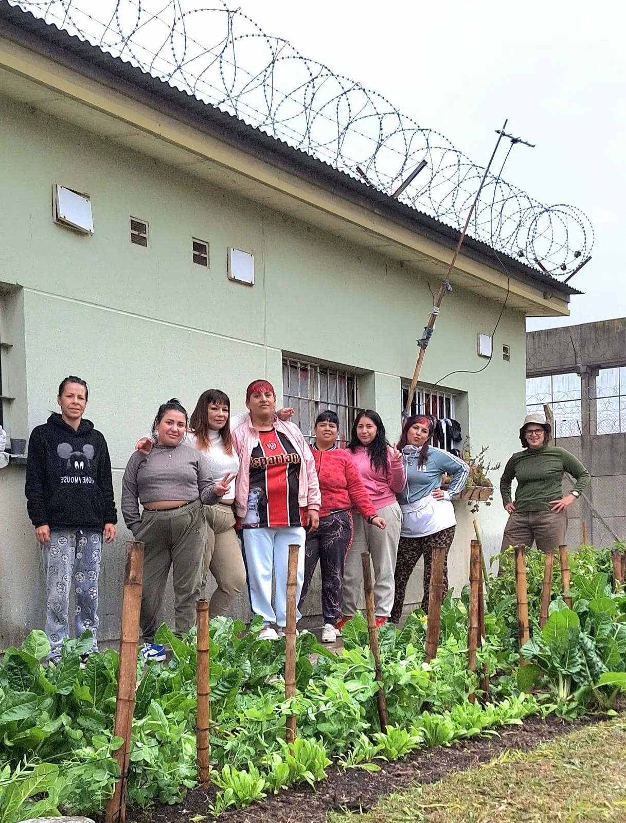 Foto — huerta · trabajo de tierra
